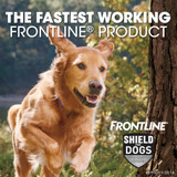 Frontline Shield Flea & Tick Treatment for Dogs