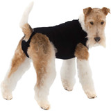Suitical Recovery Suit for Dogs Black - Medium