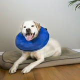 KONG Cloud E-Collar - Small (6"-10")