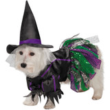 Zack & Zoey Scary Witch Dog Costume - XSmall