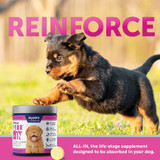 Vetericyn All-In Puppy 0-18 Months Life Stage Supplements 90 count