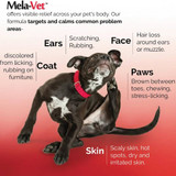 Mela-Vet Soft Chews for Dogs & Cats