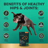 GlycoFlex Sport for Dogs - (60 Soft Chews)
