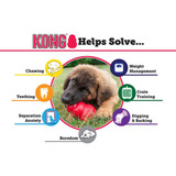 KONG Puppy