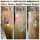 Absorbine Silver Honey Rapid Wound Repair Ointment 2 oz tube