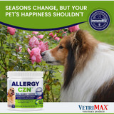 Allergy CZN Soft Chews for Dogs (120 count) - [Allergy Relief]