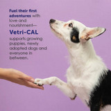 Vetri-CAL - High Calorie Nutritional Gel for Dogs & Cats (5 oz)