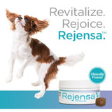 Rejensa Joint Care Chews for Dogs (60 count)
