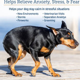 NutriCalm for Dogs (50 Capsules)