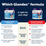 Glandex Anal Gland Support for Dogs, Bacon Flavor, 60 Soft Chews