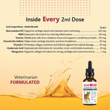 Joint MAX TS Liquid Concentrate for Cats - Joints and Cartilage Health, Chicken Flavor (2 fl oz)
