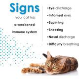 Felisyl PLUS L-Lysine Feline Immunity - Liquid Concentrate, Chicken Flavor (2 fl oz)