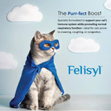 Felisyl PLUS L-Lysine Feline Immunity - Liquid Concentrate, Chicken Flavor (2 fl oz)