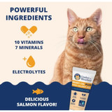 Under The Weather READY CAL PLUS W ELCTRLYTS CAT 2.5oz