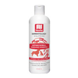 NOOTIE DOG MEDICATED ANTIMICROBIAL SHAMPOO 8OZ