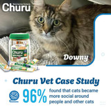 INABA Veterinarian Formula