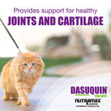 Nutramax Dasuquin Joint Supplement Tablets for Cats