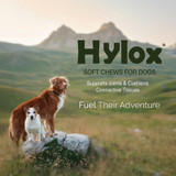 Hylox Nutritional Supplement Soft Chews