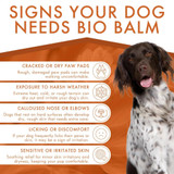 Dermoscent Bio Balm - Natural, Organic, Healing Dog Paw Balm | Skin & Paw Soother For Dogs With Dry, Cracked, & Rough Paws (50 ml)