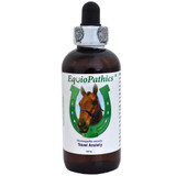 EquioPathics Travel Anxiety (120 ml)