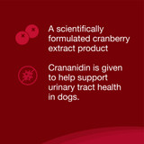 Nutramax Crananidin Cranberry Extract Urinary Tract Health Supplement for Dogs, 75 Chewable Tablets