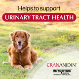 Nutramax Crananidin Cranberry Extract Urinary Tract Health Supplement for Dogs, 75 Chewable Tablets