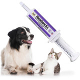 FloraCare G.I. for Dogs & Cats (60 cc)