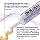 FloraCare G.I. for Dogs & Cats (60 cc)