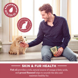 Feline Greenies Smartbites Skin & Fur Cat Treats - Salmon Flavor 6-Pack (12.6 oz)