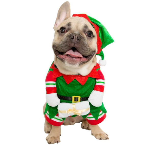 Pet Krewe Elf Dog Costume - Large