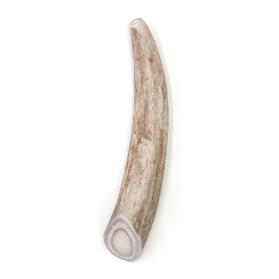 Spizzles Deer Antler Dog Chews