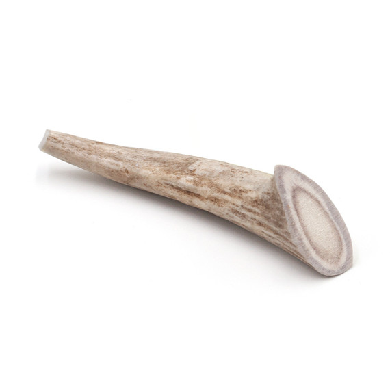 Spizzles Deer Antler Dog Chews