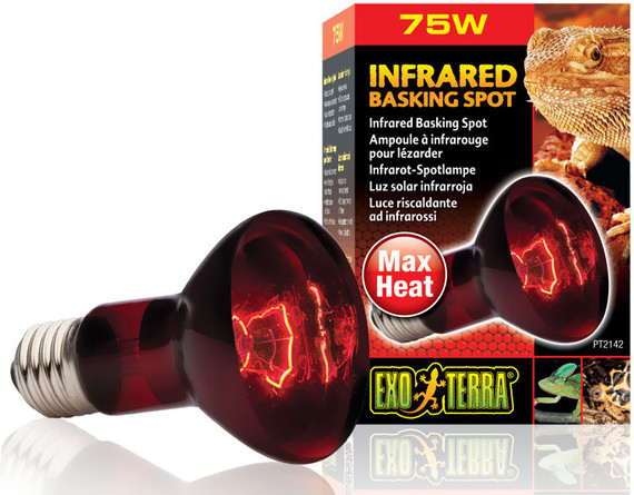 Exo Terra Heat-Glo Infrared Spot Lamp (75 W)