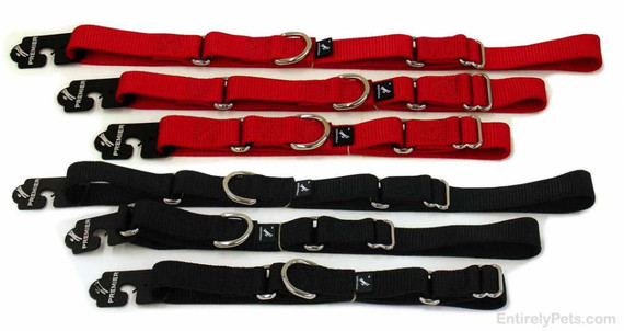 Premier Collar Red 10in - 16in - Medium