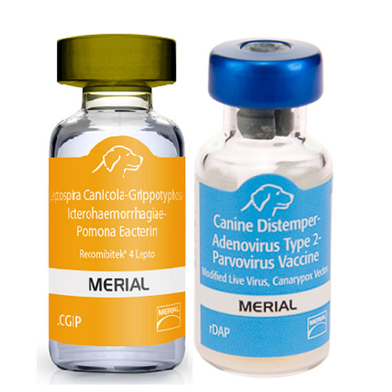 Recombitek for Dogs - C7 (rDAP-LCGIP), 25x1 dose - [Vaccine]