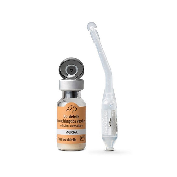 Recombitek for Dogs - Oral Bordetella, 25x1 dose - [Vaccine]