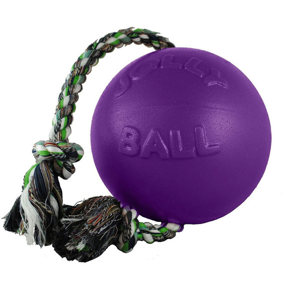 Jolly Pets Romp-n-Roll (8 in.) - Purple