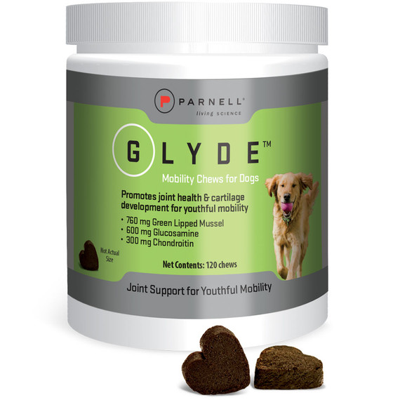 Glyde Mobility Chews for Dogs (120 count)