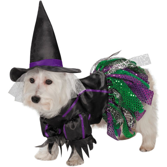 Zack & Zoey Scary Witch Dog Costume - XSmall