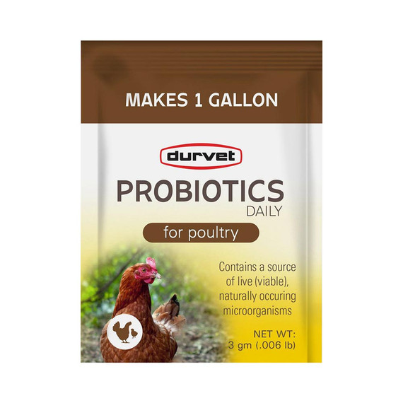 Durvet Probiotics Daily for Poultry (3 gm) - Single Packet - [Gut Health]