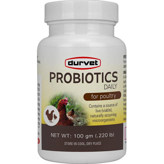 Durvet Probiotics Daily for Poultry (100 gm) - [Gut Health]