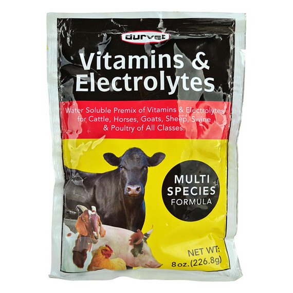 Durvet Vitamins & Electrolytes for Multi Species (8 oz) - [Supplement]