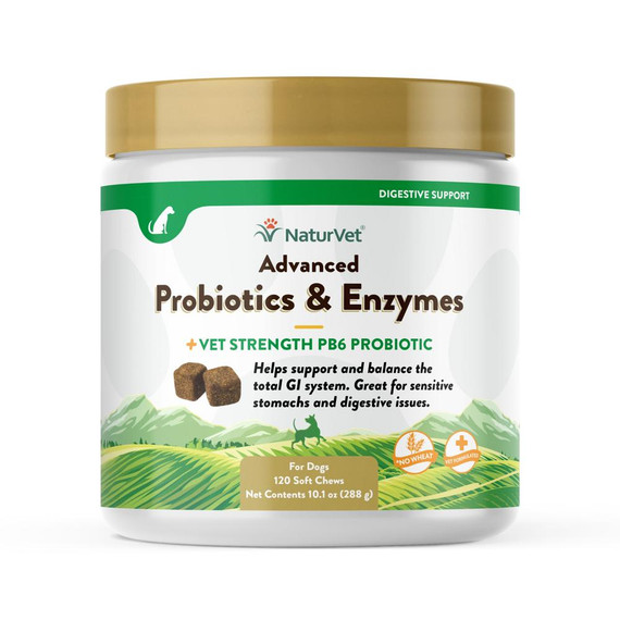 NaturVet Advanced Probiotics & Enzymes Soft Chew Supplements for Dogs (120 Count)