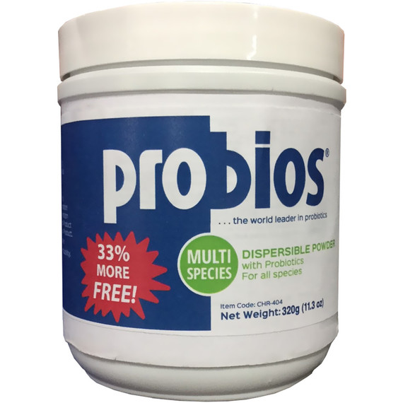 Probios Digestion Support