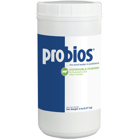 Probios Digestion Support