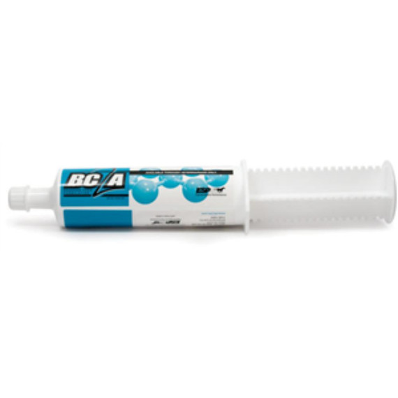 BC2A Equine Sports Performance Oral Paste, Branched Chain Formulation, 88gm