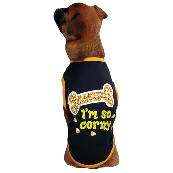 Funny Costumes
