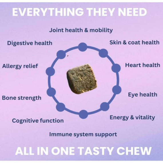 Under The Weather MULTI VITAMIN SOFT CHEWS 60ct FOR DOG