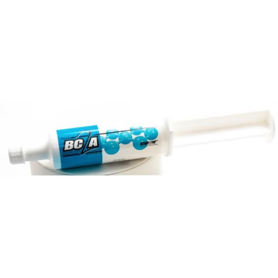 BC2A Oral Paste 55 g Syringe