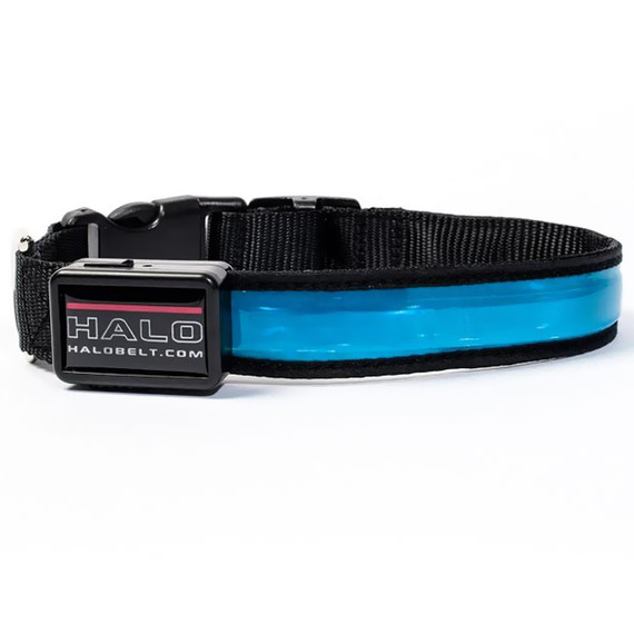 Halo Mini LED Safety Dog Collars